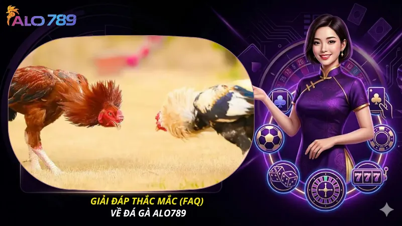Giải đáp thắc mắc (FAQ) về đá gà ALO789
